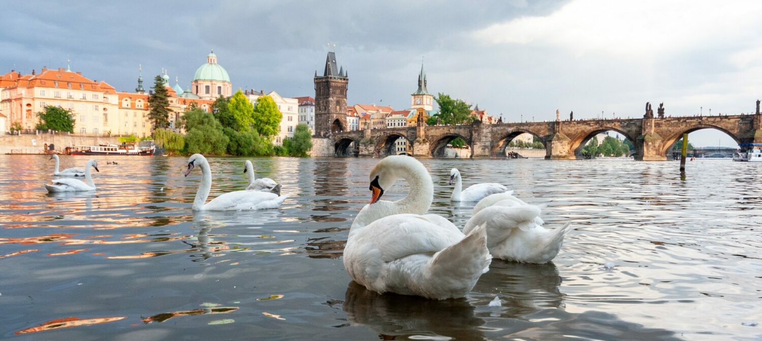 Prague_education